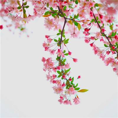 金沙8888js官方app下载